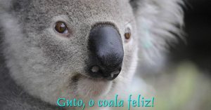 Guto, o coala feliz!